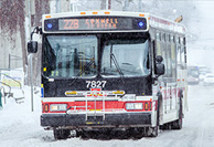 Transit Bus & Highway Coach Fleets